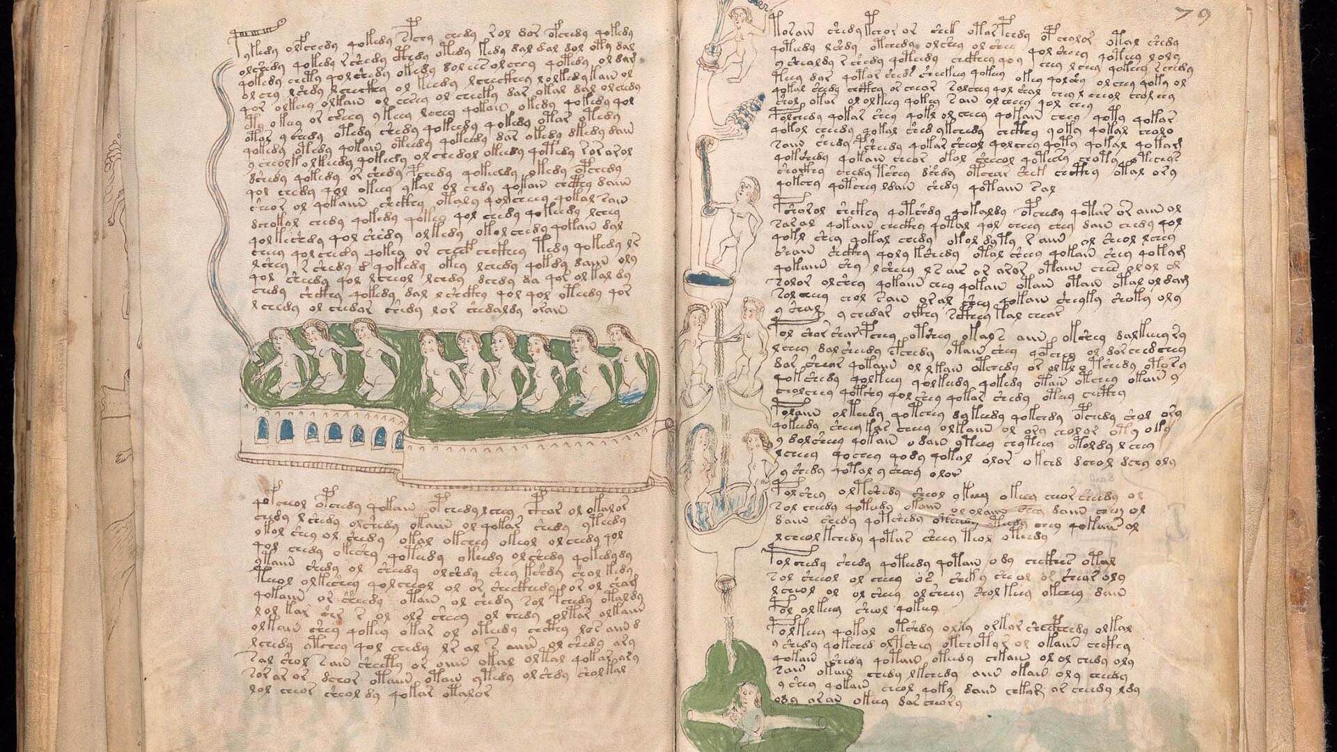 manoscritto-di-Voynich